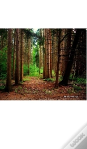 Capa do artigo Nature Grid Style Notebook $Ir Michael Nyc Limited Edition