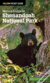 Nature Guide To Shenandoah National Park
