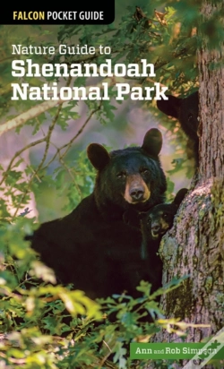 Capa do artigo Nature Guide To Shenandoah National Park