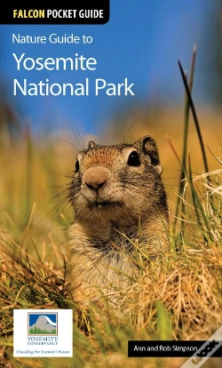 Capa do artigo Nature Guide To Yosemite National Park
