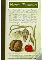 Capa do artigo Nature Illuminated