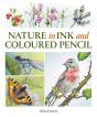 Nature In Ink And Coloured Pencil - Preview