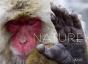 Nature, Instants Magiques - Preview