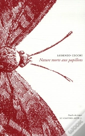Nature Morte Aux Papillons