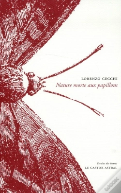 Capa do artigo Nature Morte Aux Papillons