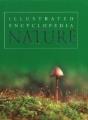 Nature - Preview