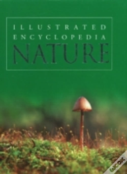 Capa do artigo Nature