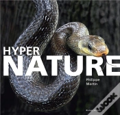 Capa do artigo Nature