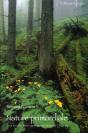 Nature Primordiale ; Des Forêts Sauvages Au Secours De L'Homme - Preview
