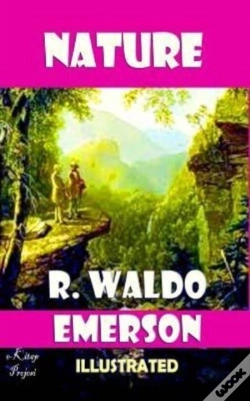 Capa do artigo Nature