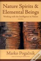 Capa do artigo Nature Spirits & Elemental Beings