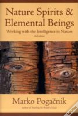 Capa do artigo Nature Spirits & Elemental Beings