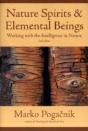 Nature Spirits & Elemental Beings - Preview