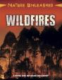 Nature Unleashed: Wildfires - Preview
