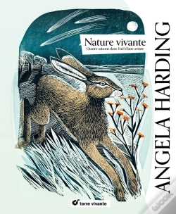 Capa do artigo Nature Vivante