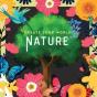 Nature - Preview