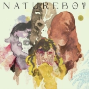 Capa do artigo Natureboy - Vinil