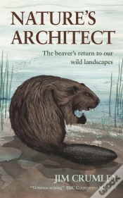 Capa do artigo Nature