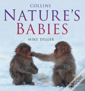 Capa do artigo Nature