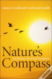 Capa do artigo Nature