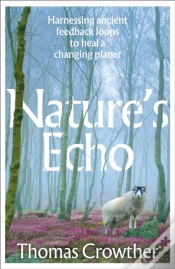 Capa do artigo Nature