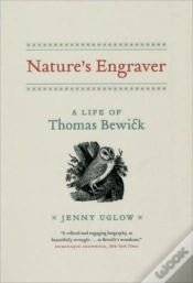 Capa do artigo Nature