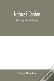 Capa do artigo Nature