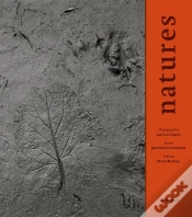 Capa do artigo Natures