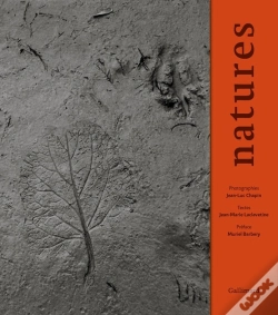 Capa do artigo Natures