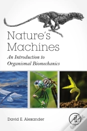 Capa do artigo Nature