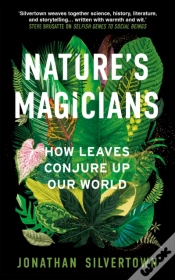 Capa do artigo Nature