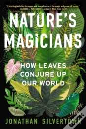 Capa do artigo Nature
