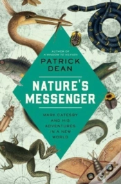 Capa do artigo Nature