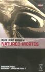 Natures Mortes - Preview