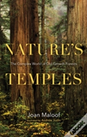 Capa do artigo Nature
