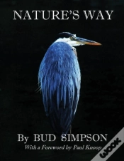 Capa do artigo Nature