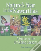 Capa do artigo Nature