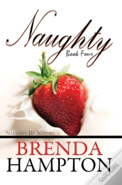 Capa do artigo Naughty 4