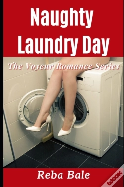 Capa do artigo Naughty Laundry Day