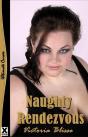 Naughty Rendezvous - Preview