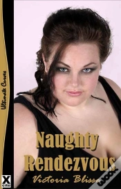 Capa do artigo Naughty Rendezvous