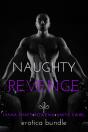 Naughty Revenge: Erotica Bundle - Preview