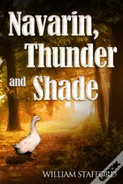 Capa do artigo Navarin, Thunder And Shade