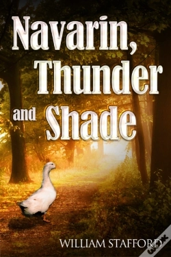 Capa do artigo Navarin, Thunder And Shade