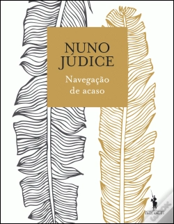 Capa do artigo Navegação de Acaso