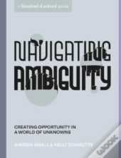 Navigating Ambiguity