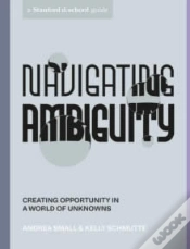 Capa do artigo Navigating Ambiguity