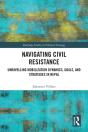Navigating Civil Resistance - Preview