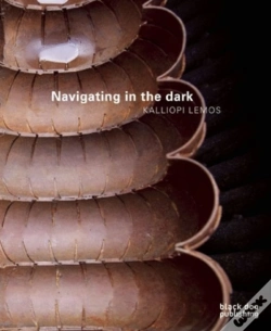 Capa do artigo Navigating In The Dark