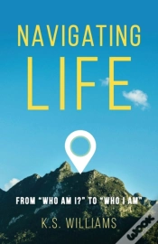 Capa do artigo Navigating Life